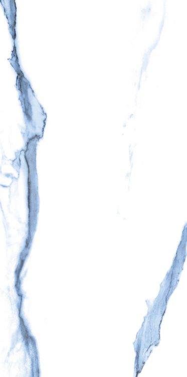 Calacatta Blue Polished 12 x 24